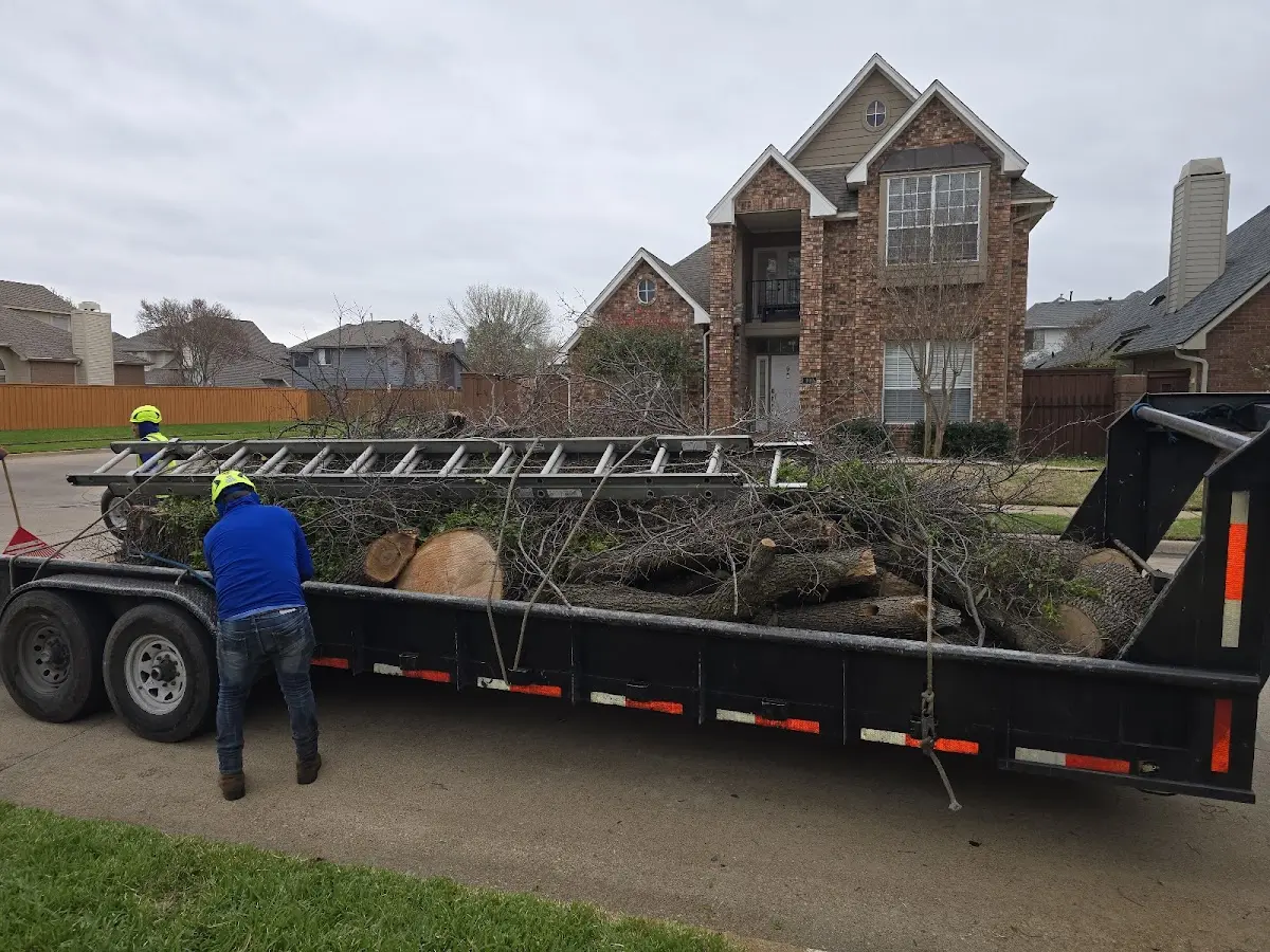 Expert Tree Fertilization with proper safety equipment in Green Bank